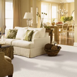 Neutral carpet in living room | Carpet Warehouse