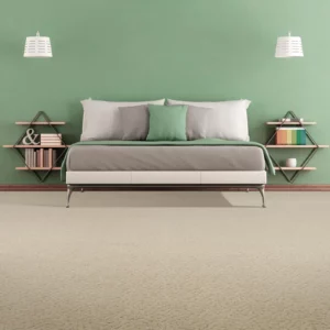carpet in home | Carpet Warehouse