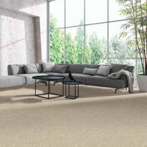 Neutral carpet in living room | Carpet Warehouse