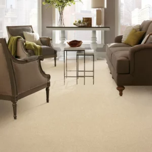 neutral carpet in living room | Carpet Warehouse