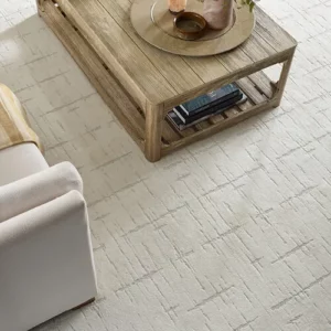 overhead view of patterned carpet in neutral carpet | Carpet Warehouse
