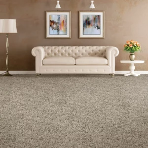 carpet in living room | Carpet Warehouse