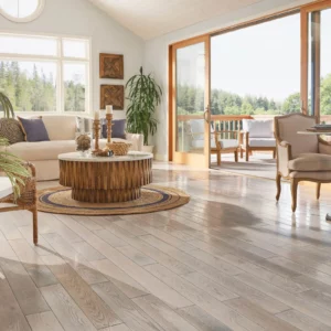 hardwood flooring in living room | Carpet Warehouse