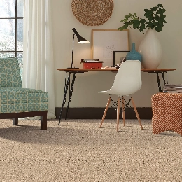 CarpetInspiration03 Carpet | Carpet Warehouse