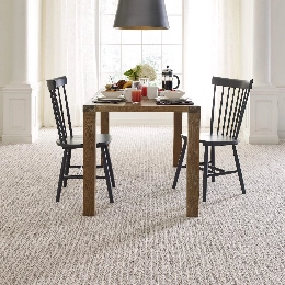 CarpetInspiration04 Carpet | Carpet Warehouse