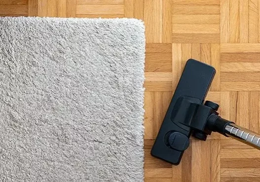 DailyCareRugs Area rug | Carpet Warehouse